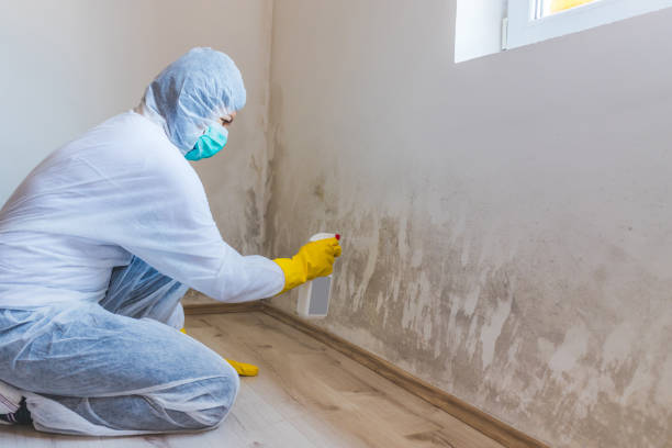 Hvac And Air Duct Mold Remediation inspection of HVAC system in Audubon