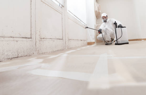 Post-remediation clearance in Audubon